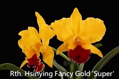 Rth. Hsinying Fancy Gold 'Super' SM/TOGA