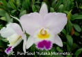 C. (Lc.) Pure Soul 'Yutaka Morimoto'