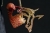 Coryanthes macrantha