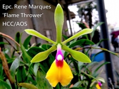 Epc. Rene Marques 'Flame Thrower' HCC/AOS