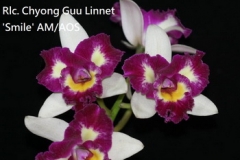 Rlc. Chyong Guu Linnet 'Smile' AM/AOS