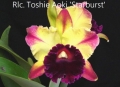 Rlc. Toshie Aoki 'Starburst' AM/AOS