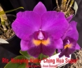 Rlc. Hsinying Aloha 'C.H. Super'